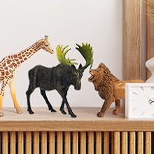 Realistic Animal Toys