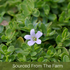 Small manufacture image 1