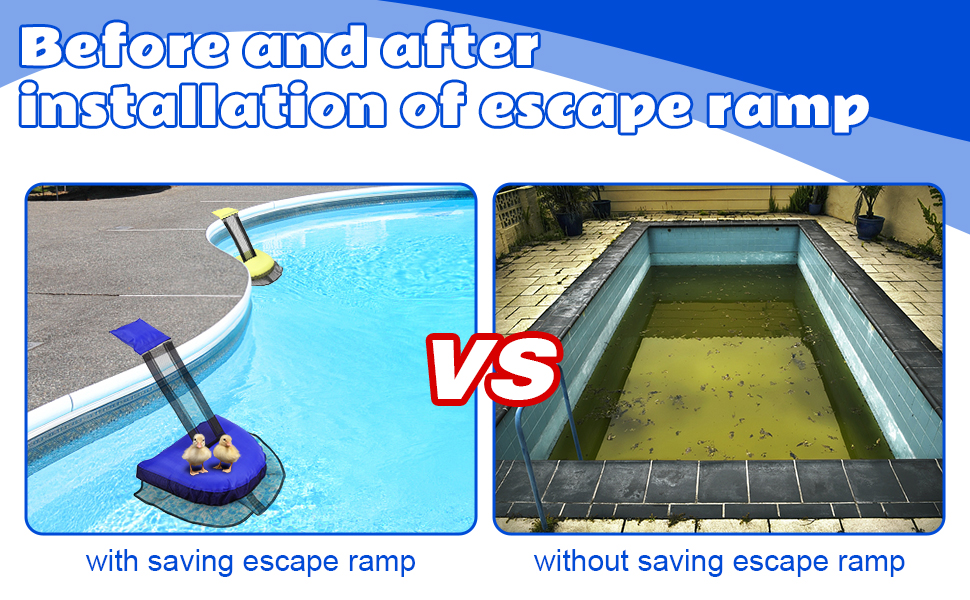 Djioyer Rettungsrampe Pool, Schwimmendes Tierrettungswerkzeug für ...