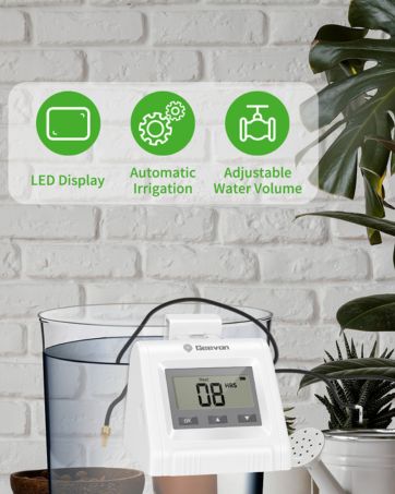 Automatic water system