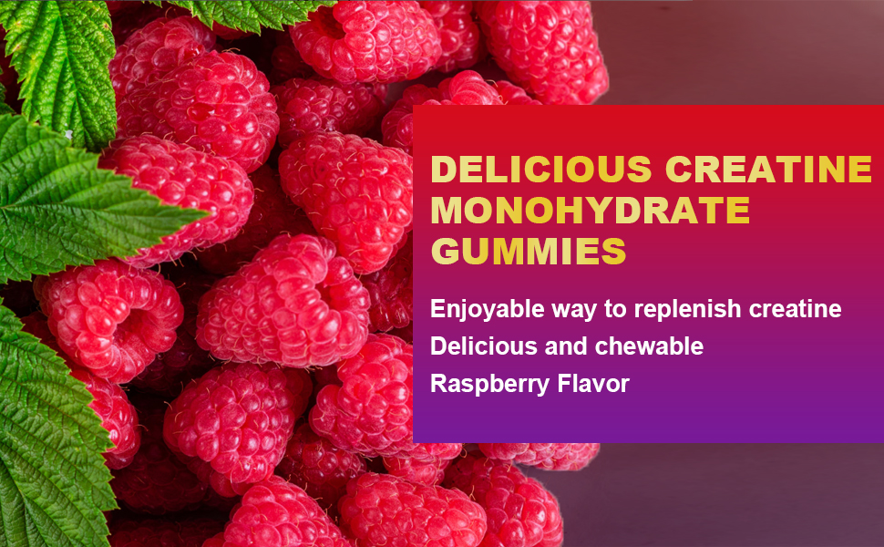 sugar free creatine monohydrate gummies