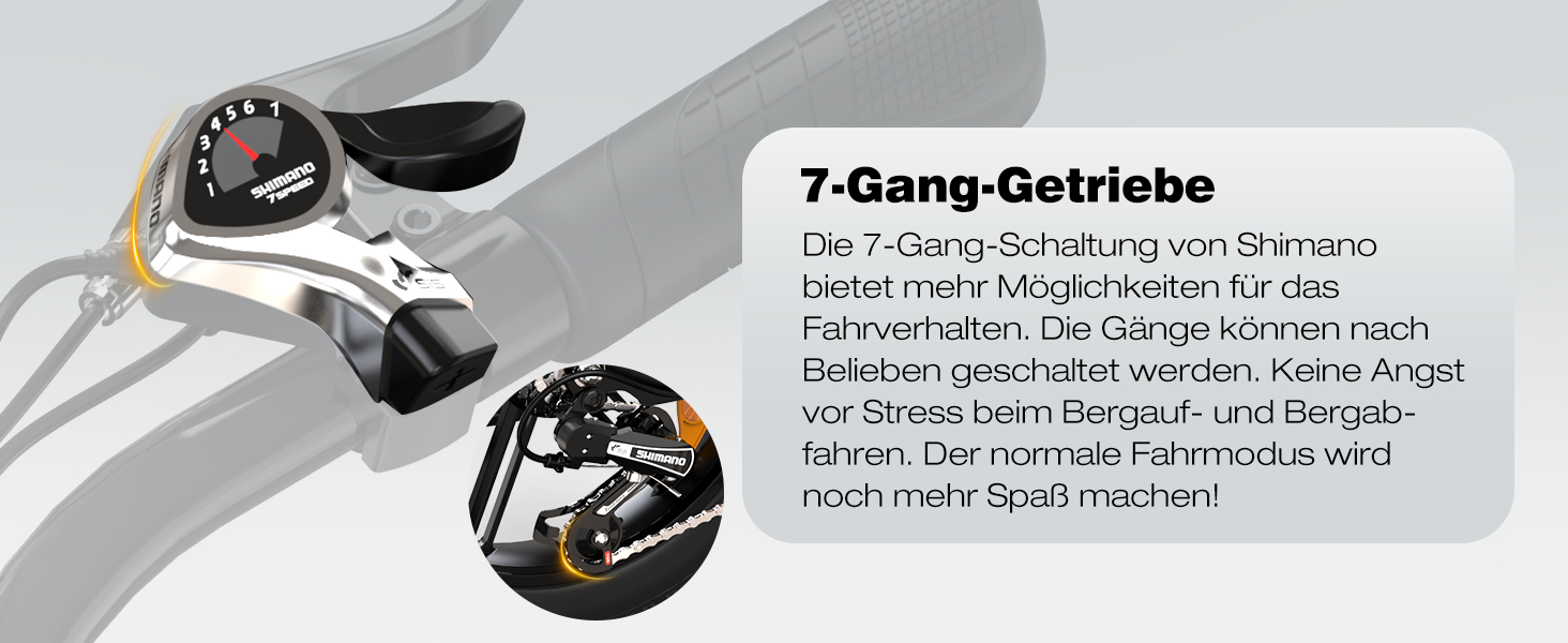 e bike herren