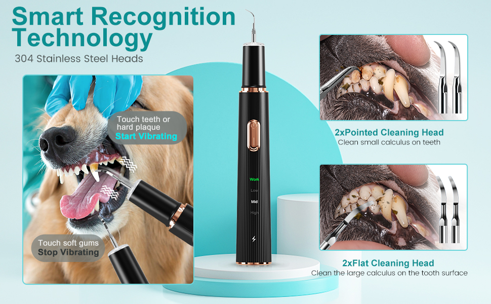 dog toothbrush