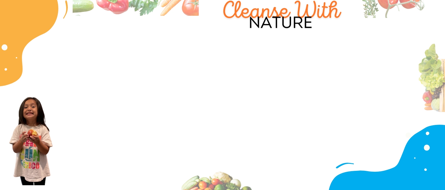 veggie wash fruit and vegetable wash fruit cleaner fruit wash vegetable wash fruit washer