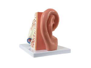 Small manufacture image 3