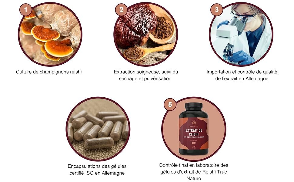 Reishi Puissant - 9750mg, Extra Concentré 5:1 - 270 Gélules Végétales - Immunité, Énergie & Circulation - 40% Polysaccharides - Pureté Garantie : Sans Additifs, Gluten, Lactose
