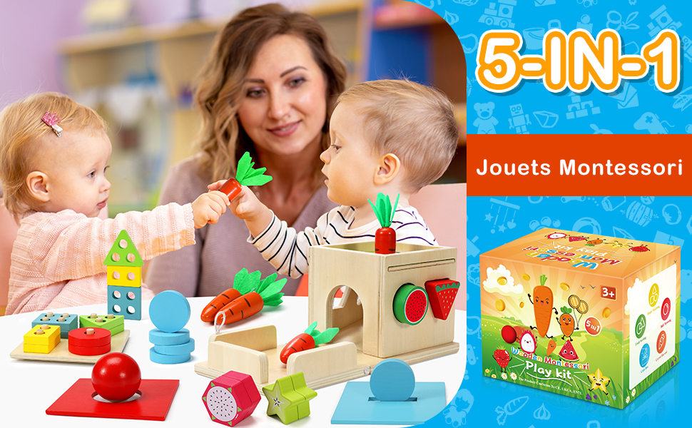 COOLJOY 5 en 1 Jeux Montessori | Jouet de Chute de Balle, Boîte à Pièces,  Jouet de Récolte de Carottes, Sensoriels Trieurs | Jeux Bebe 1 an 2 3 Ans