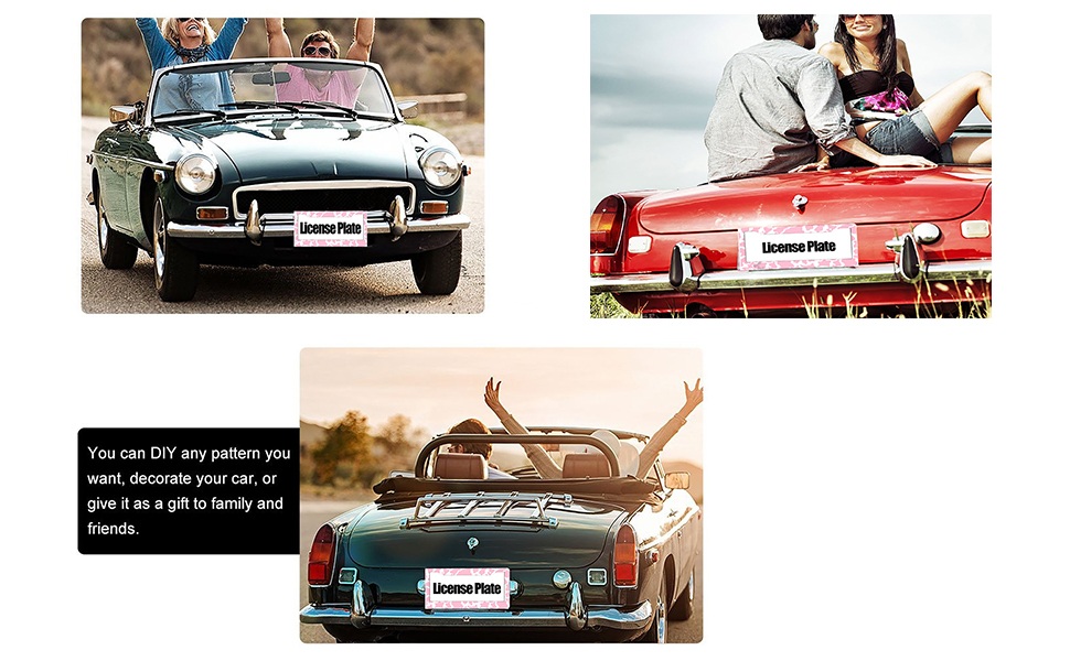 2 Pack License Plate Frames for Women,Cherry Car License