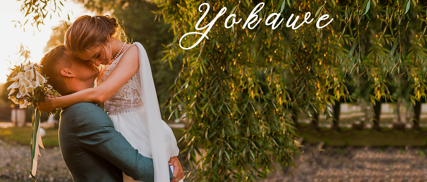 Bridal Wedding Hair Pins