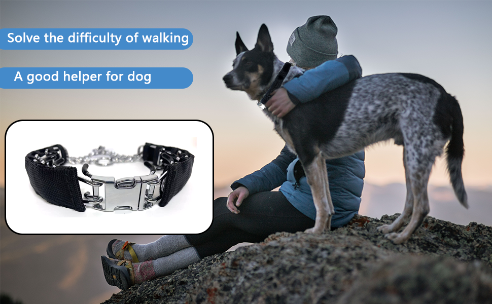 Prong Training Collar for Dogs, Adjustable Dog Pinch