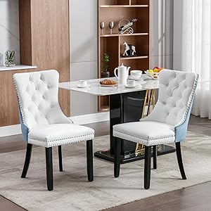 Amazon.com - LZ LEISURE ZONE Dining Chairs Set of 2