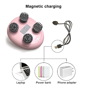 Electric Scalp Massager