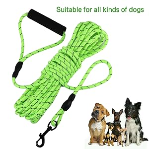 long leads for dog training