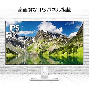 Amazon.co.jp: 【Amazon.co.jp限定】MSI PRO MP251W E2 モニター