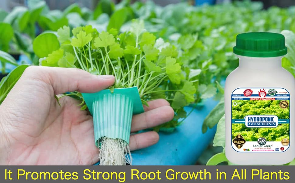 Erwon® Hydroponic A & B Fertilizer for Plants, Essential Growth Fertilizer for hydroponic Plants