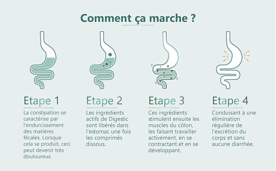 un graphique illustrant les différentes étapes du système digestif.