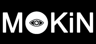 usb c docking station dual monitor