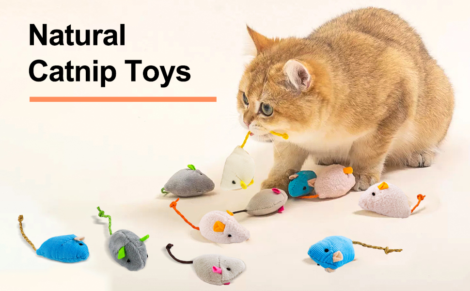 10 Pack Catnip Cat Toys, Cat Toy Catnip Mice, Interactive Cat Toy for