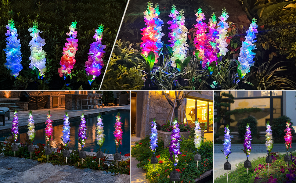 Solar  Flowers