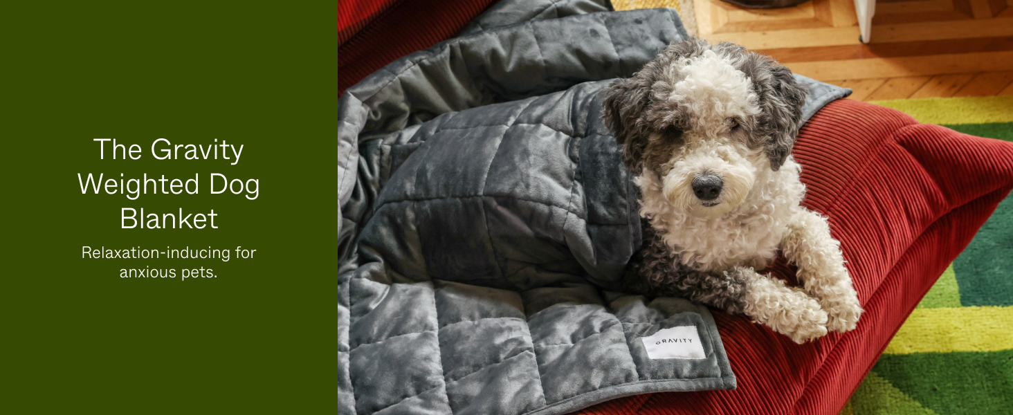 Gravity Premium Original Weighted Dog Blanket, Calming
