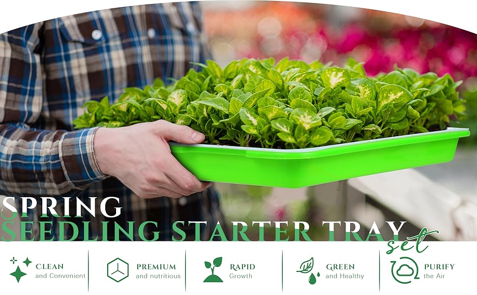seed starter
