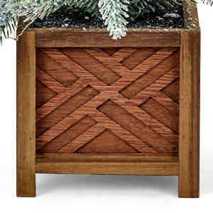 potted christmas tree