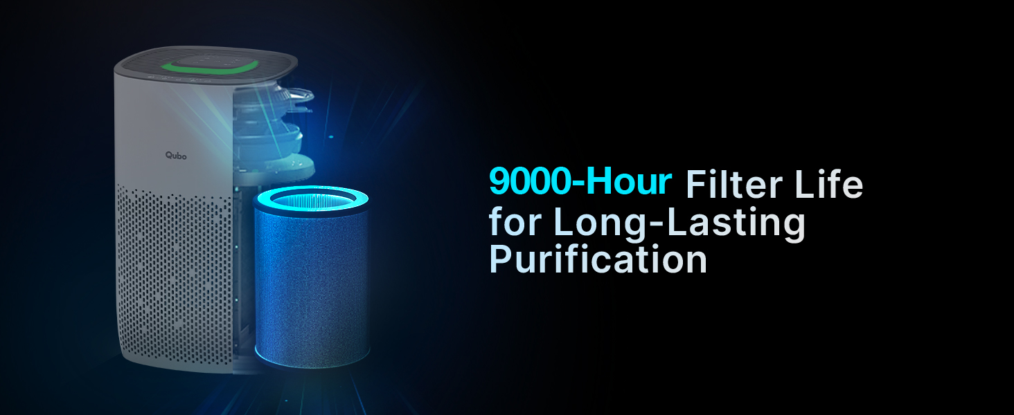 Q200 air purifier
