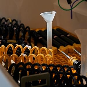 Struts Shock Assembly