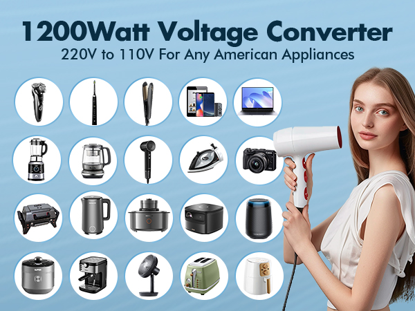 1200W Power Converter