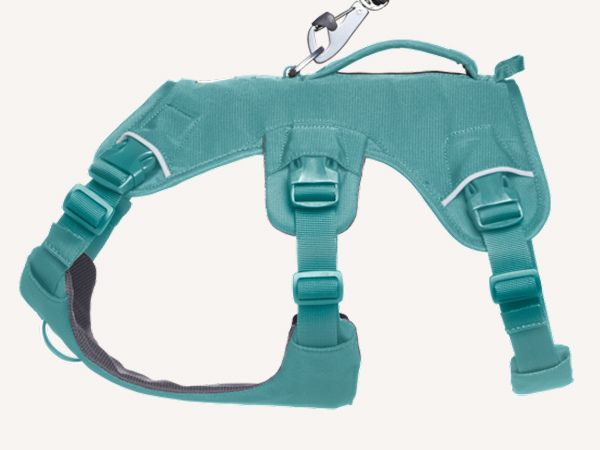 Ruffwear ラフウェア ウェブマスタードッグハーネス (SS25) XS 30104_Web-Master-Harness_Red-