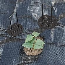 Black Garden Stakes Staples - 4