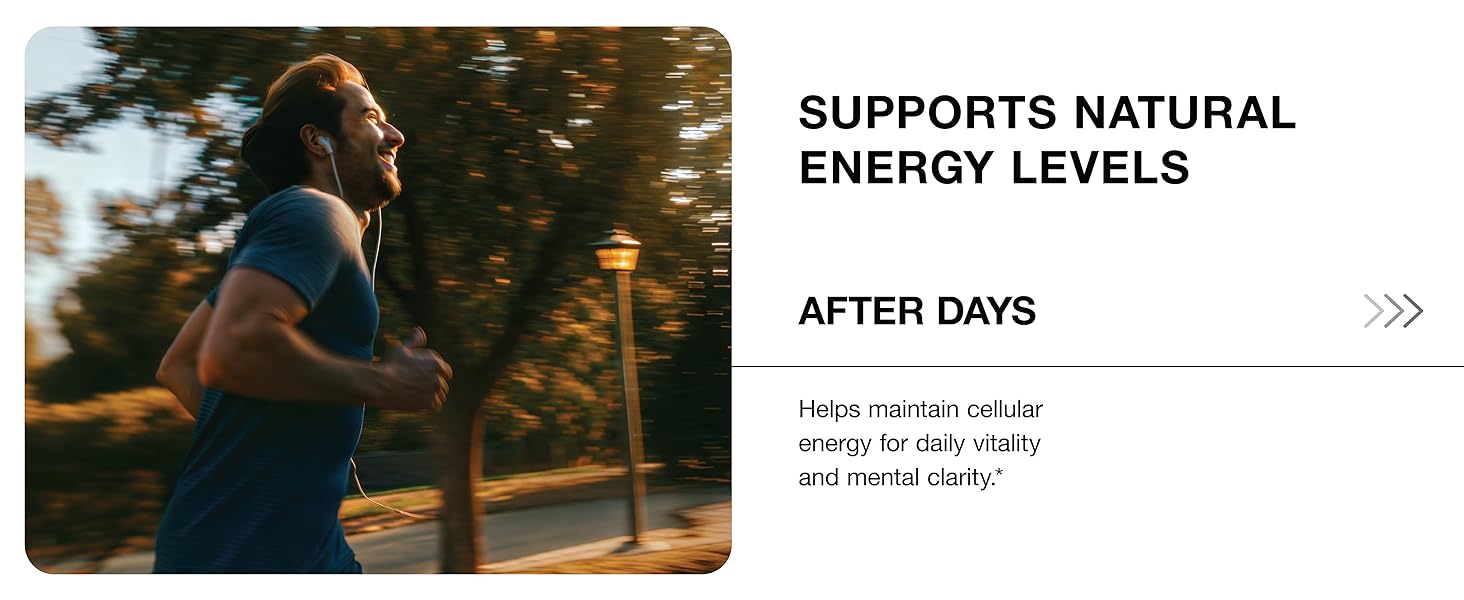 Nicotinamide Riboside