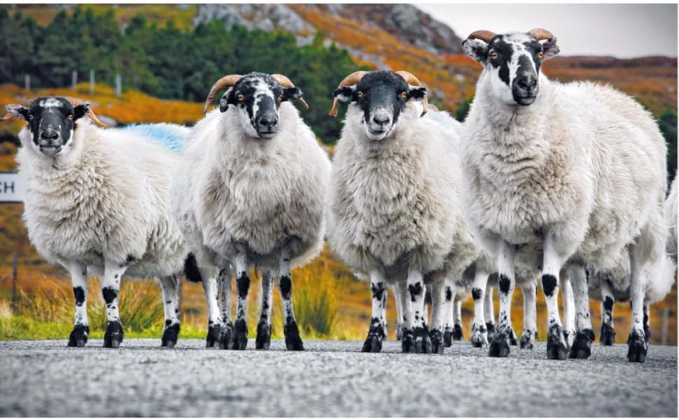 Large manufacture image 1