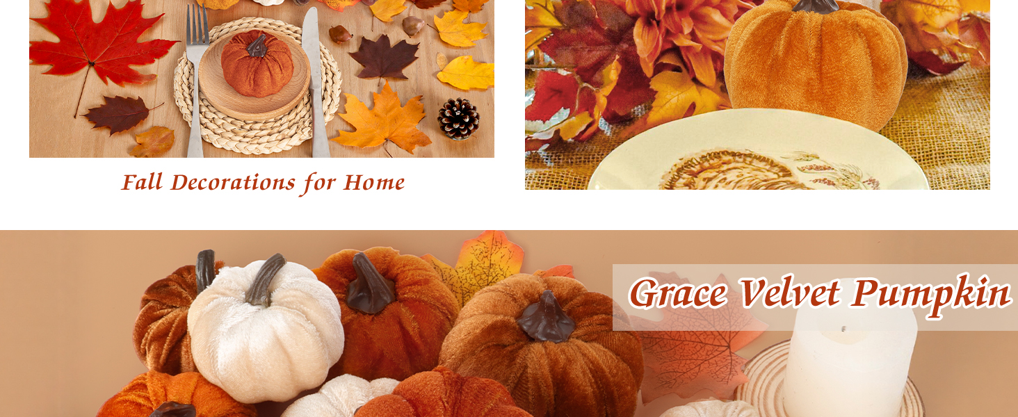 small pumpkins for decorating