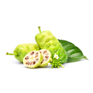Noni Fruit Hair Colour Shampoo