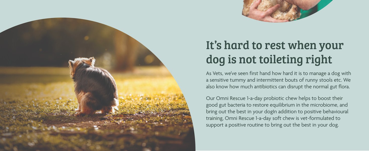 Large manufacture image 6