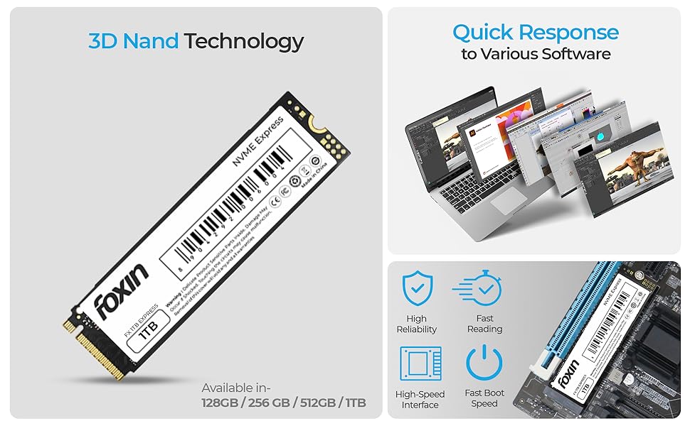 Foxin NVME SSD 