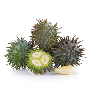 Small manufacture image 3