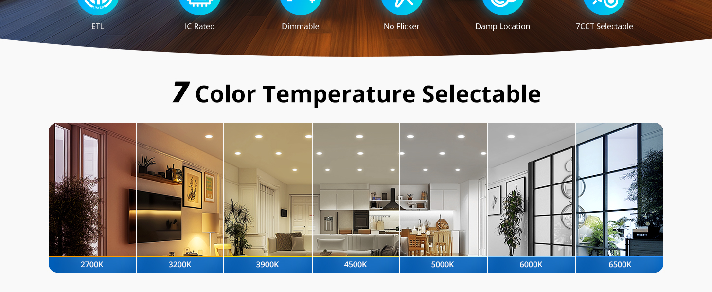 5in LED Recessed Light