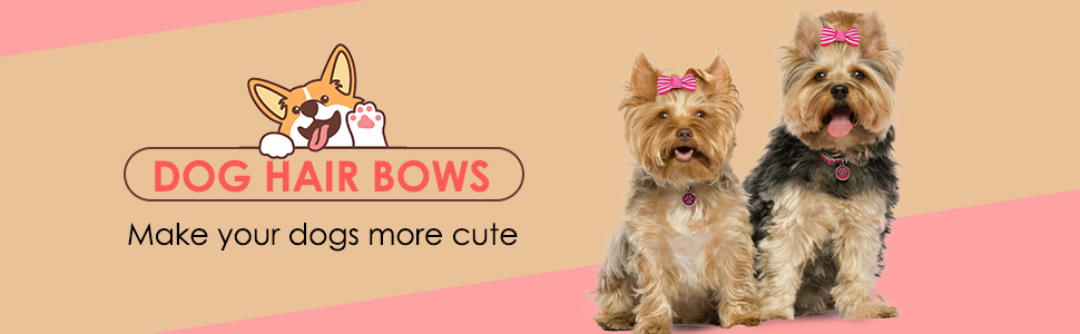dog bows