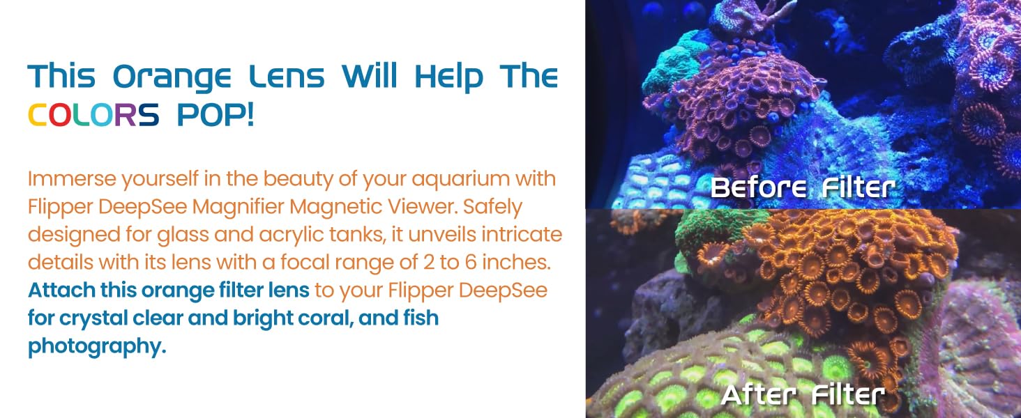 magnifier for coins pocket magnifier with light fire starting magnifying glass hand lens botany