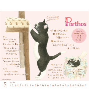 Amazon.co.jp: 2025 ミニカレンダーナーゴの猫たち プレミアム