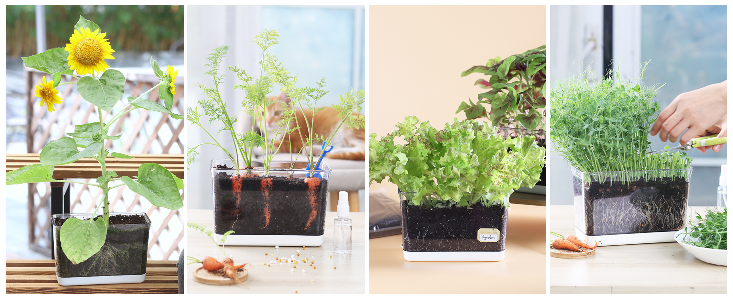 Large manufacture image 5