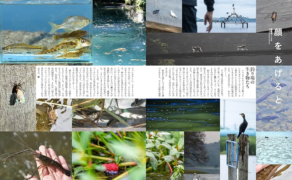 Basser バサー 2018 年 12月 324 バスフィッシング バス釣り Basser バサー 2018 年 12月 324 バスフィッシング バス釣り