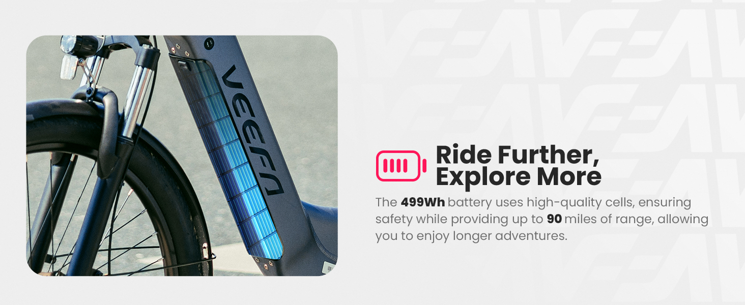 ebike for adults