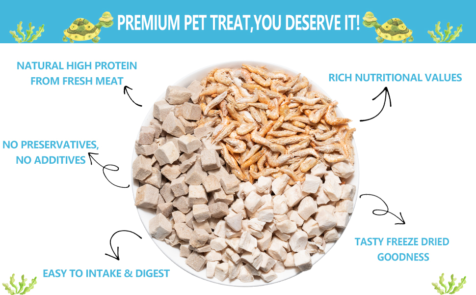 Chicken, Duck, and Shrimp - Healthy Treats for Turtles