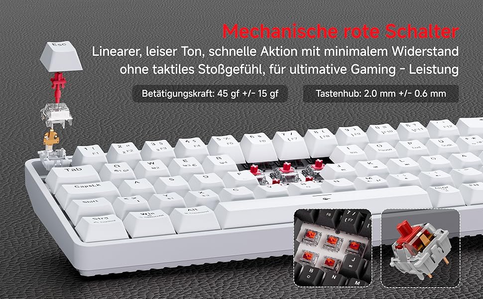 TMKB T68 Gaming Tastatur,60% Kabellos Mechanische RGB Tastatur mit Bluetooth/2.4G/Typ-C