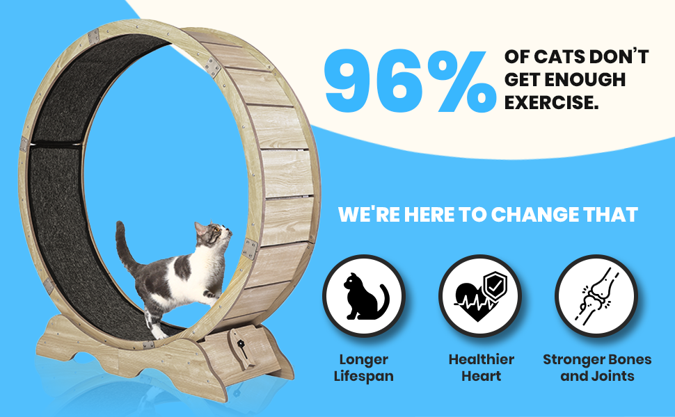 Athlecat Cat Exercise Wheel Training Guide and Toy Included 40