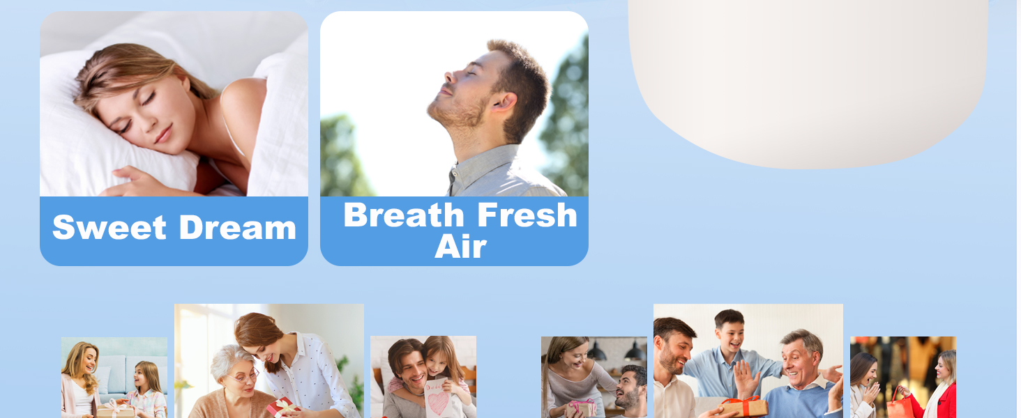 small plant humidifier