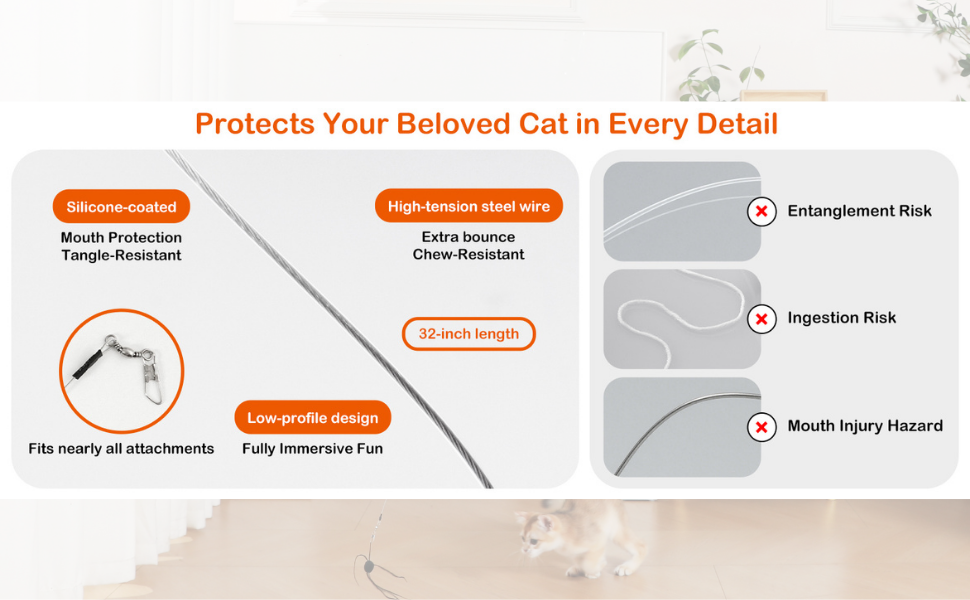 Protects Your Beloved Cat in Every Detail